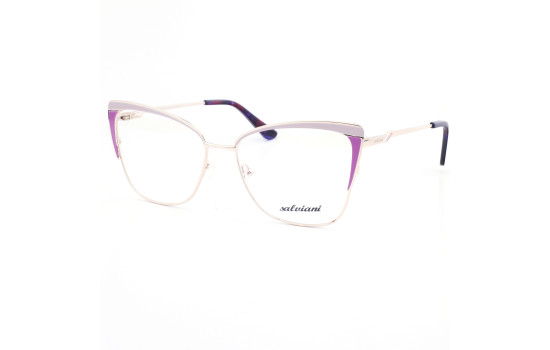 STAINLESS STEEL FRAME 55-16 (140) GOLD & PURPLE