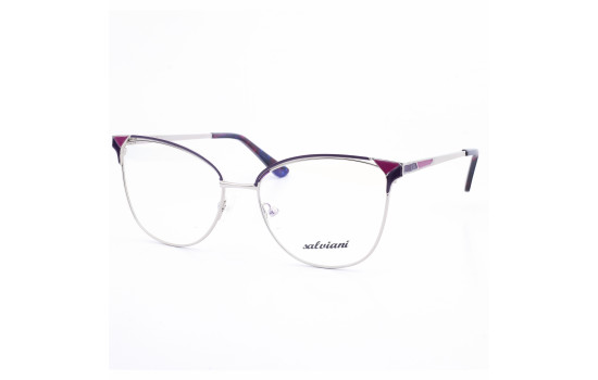 STAINLESS STEEL FRAME 55-16(140)SILVER & ROSE DEMI