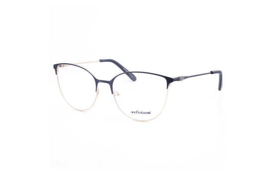 STAINLESS STEEL FRAME 53-17 (140) GOLD & BLACK