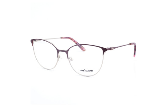 STAINLESS STEEL FRAME 53-17(140) SILVER & BORDEAUX