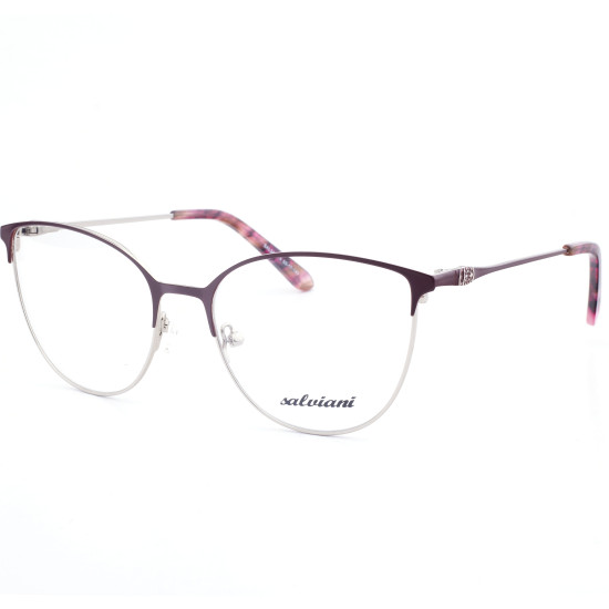 STAINLESS STEEL FRAME 53-17(140) SILVER & BORDEAUX