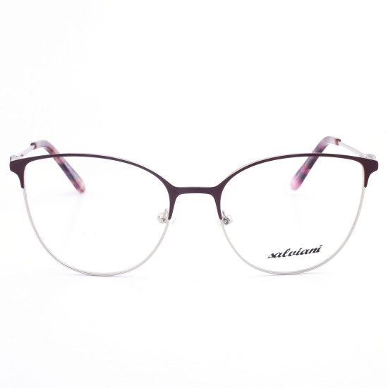STAINLESS STEEL FRAME 53-17(140) SILVER & BORDEAUX