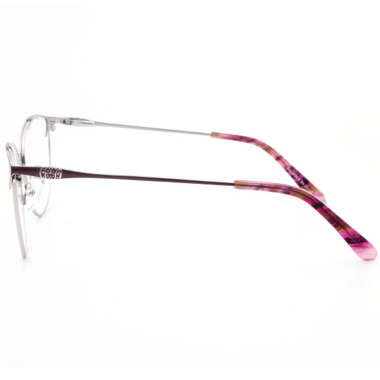 STAINLESS STEEL FRAME 53-17(140) SILVER & BORDEAUX