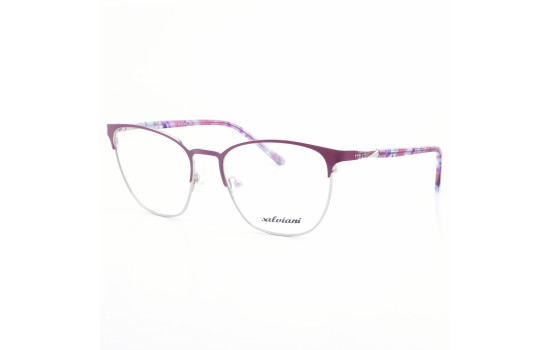 STAINLESS STEEL FRAME 54-17(140)SILVER & ROSE DEMI