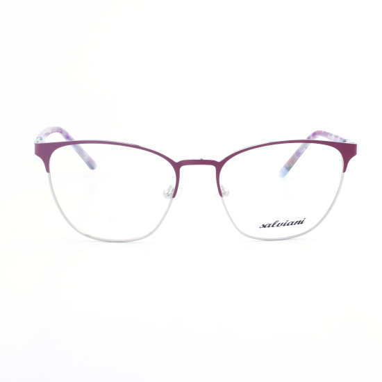 STAINLESS STEEL FRAME 54-17(140)SILVER & ROSE DEMI